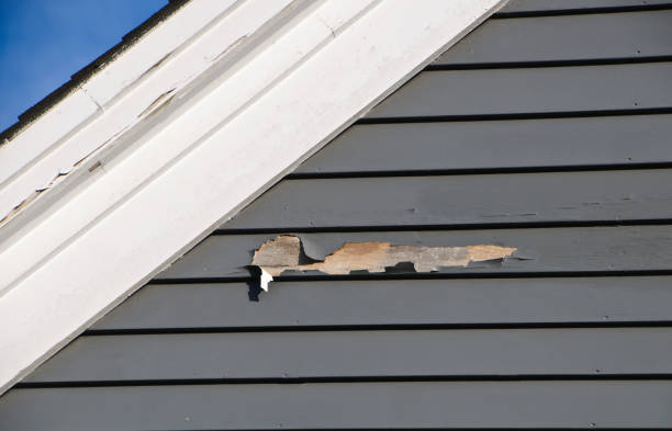 Demolition Debris Removal in Mount Clemens, MI